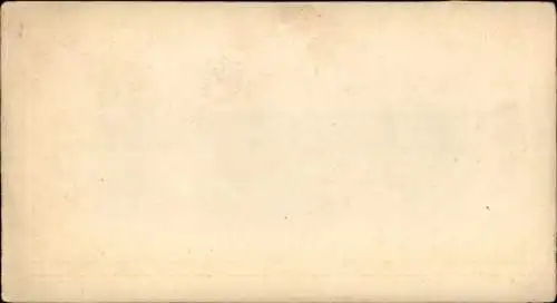Stereo Foto Erotik, Frauenakt, liegend auf einem Teppich, Rückansicht