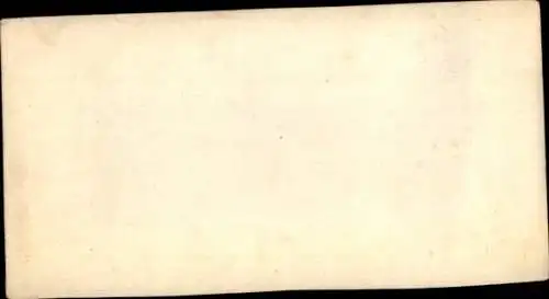 Stereo Foto Erotik, Frauenakt, zwei Frauen, in der Natur stehend