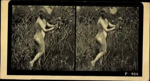 Stereo Foto Erotik, Frauenakt, stehend in der Natur