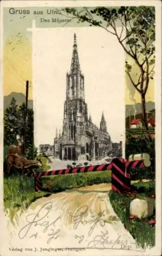 Präge Ak Ulm an der Donau, Münster, Rehe
