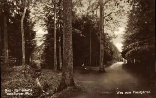 Ak Bad Rothenfelde am Teutoburger Wald, Weg zum Forstgarten, Wald