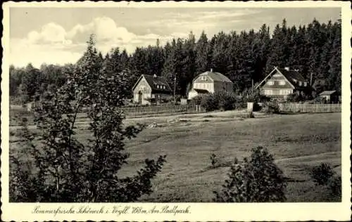 Ak Schöneck im Vogtland, Stadtpark