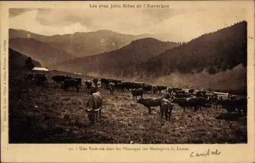 Ak Le Lioran Cantal, Une Vacherie dans la Paturages des Montagnes