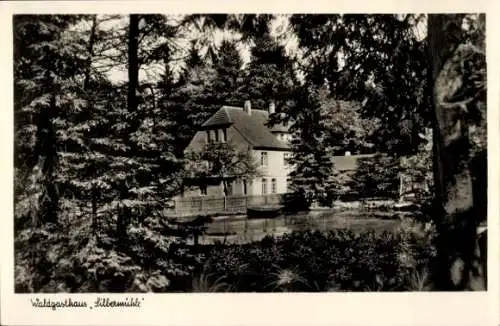 Ak Leopoldstal Horn Bad Meinberg im Kreis Lippe, Waldgasthaus Silbermühle