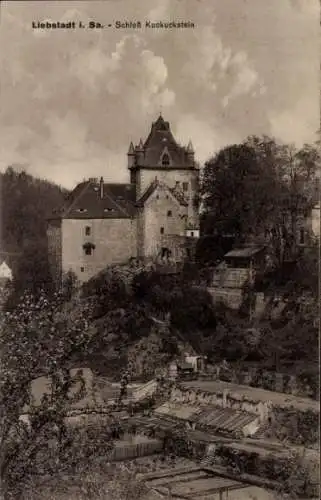 Ak Liebstadt Erzgebirge Sachsen, Schloss Kuckuckstein