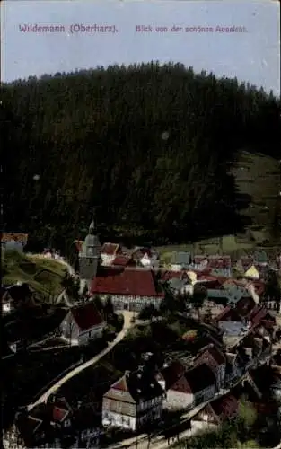 Ak Wildemann Clausthal Zellerfeld im Oberharz, Teilansicht, Blick von der schönen Aussicht