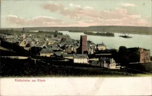 Ak Rüdesheim am Rhein, Panorama