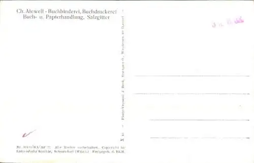 Ak Salzgitter in Niedersachsen, Fliegeraufnahme