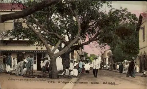 Ak Dakar Senegal, Straße, Baum, Passanten