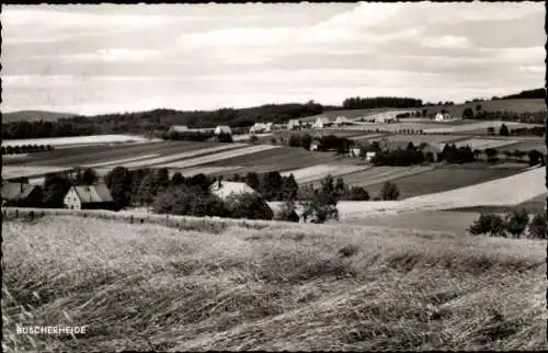 Ak Büscherheide Bad Essen in Niedersachsen, Panorama