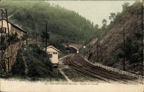 Ak Les Sauvages Rhône, Enree du Tunnel