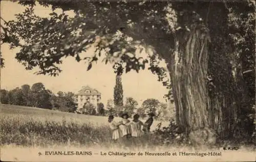 Künstler Ak Évian les Bains Haute Savoie, Le Chataignier de Neuvecelle, l'Hermitage-Hotel