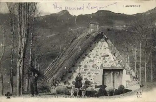 Ak Auvergne Puy de Dôme, Haus in den Bergen, Schafe