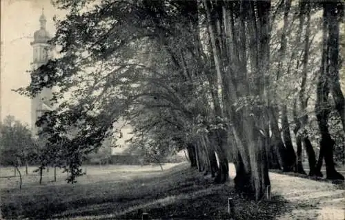 Ak Arnstadt in Thüringen, Schlossgarten