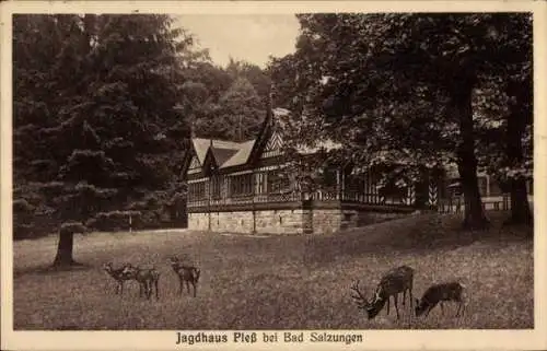 Ak Bad Salzungen in Thüringen, Jagdhaus Pleß, Rehe