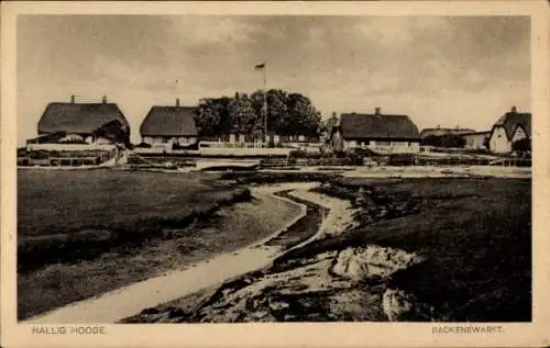 Ak Hallig Hooge in Nordfriesland, Backenswarft