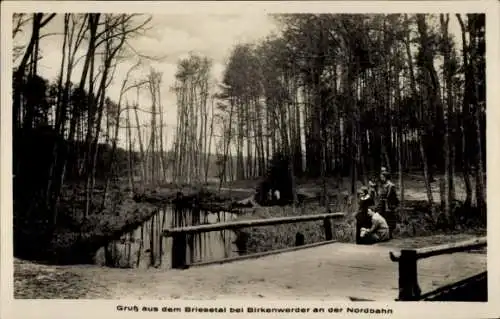 Ak Briese Birkenwerder im Kreis Oberhavel, Wald, Brücke, Menschen