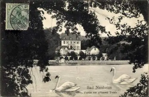 Ak Bad Nauheim in Hessen, Teilansicht, großer Teich