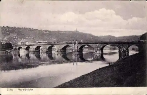 Ak Trier an der Mosel, Moselbrücke, Panorama