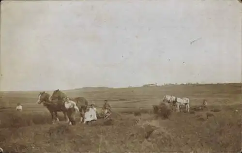 Foto Ak Bauern mit Pferdepflügen auf dem Feld