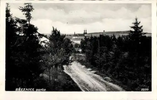 Ak Březnice Bresnitz Mittelböhmen, Teilansicht