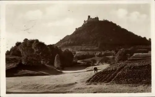 Ak Bezděz Schloßbösig Region Reichenberg, Burg