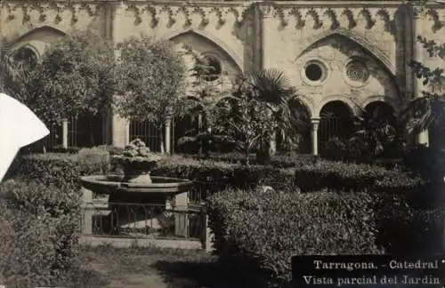 AK Tarragona Katalonien Spanien, Kathedrale, Garten