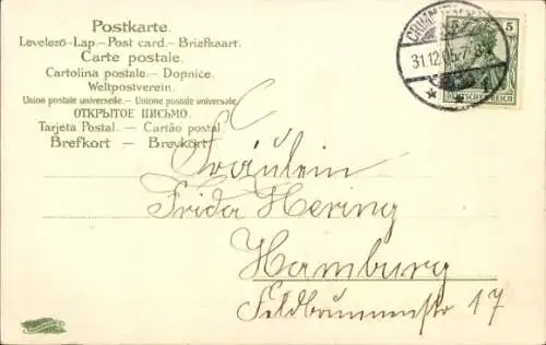 Präge Ak Glückwunsch Neujahr 1906, Mädchen, Vergissmeinnicht, Glücksklee, Hufeisen