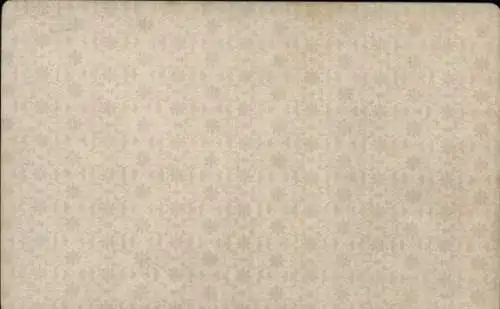 Kabinett Foto Goethe Büste von Trippel