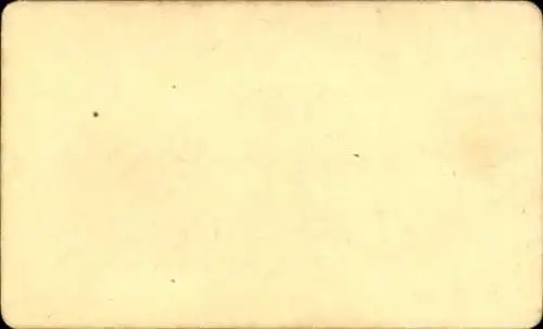 CdV Komponist Franz Abt, Portrait