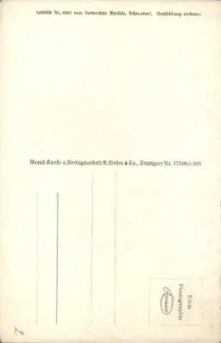 Ak Waiblingen in Württemberg, Fliegeraufnahme, Bezirkskrankenhaus