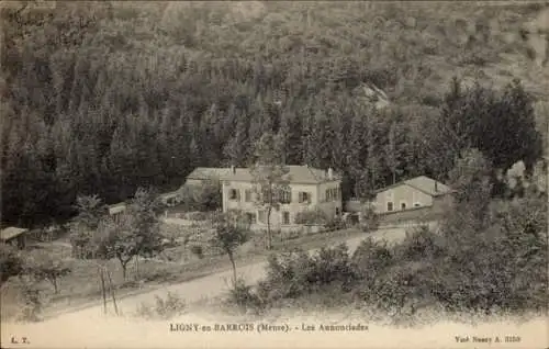 Ak Ligny en Barrois Lothringen Meuse, Les Annonciades