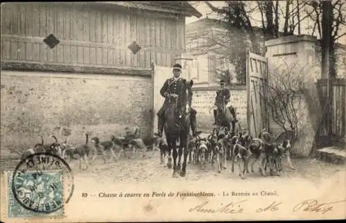 Ak Foret de Fontainebleau Seine et Marne, Chasse a Courre en Foret, La Rentree au Chenil