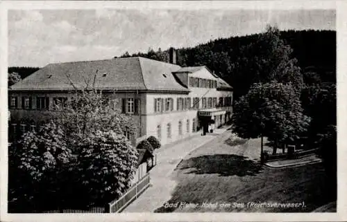 Ak Bad Elster im Vogtland, Hotel am See