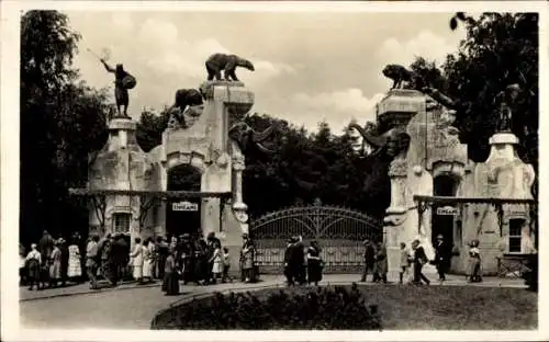 Ak Hamburg Eimsbüttel Stellingen, Carl Hagenbeck's Tierpark, Haupteingang