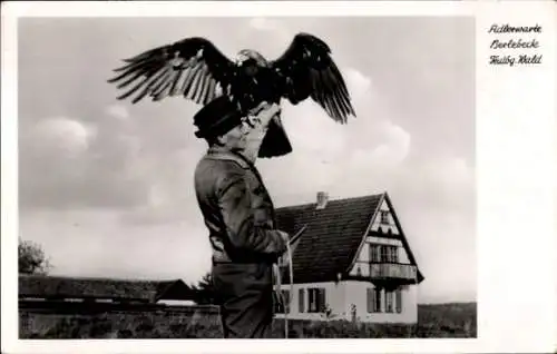 Ak Berlebeck Detmold, Ein Kaiseradler vor dem Abflug