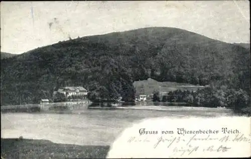 Ak Wiesenbek Bad Lauterberg im Harz, Wiesenbeker Teich