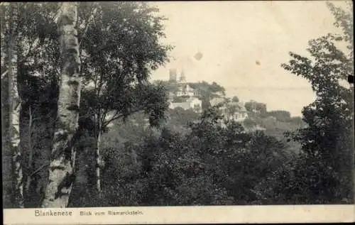 Ak Hamburg Altona Blankenese, Teilansicht, Blick vom Bismarckstein