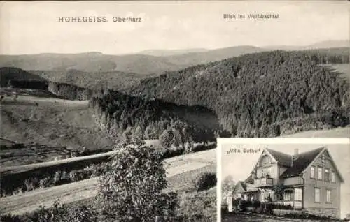 Ak Hohegeiß Braunlage im Oberharz, Panorama, Wolfsbachtal, Villa Bothe