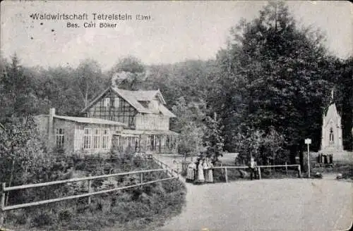 Ak Tetzelstein Elm Schöppenstedt Niedersachsen, Waldwirtschaft