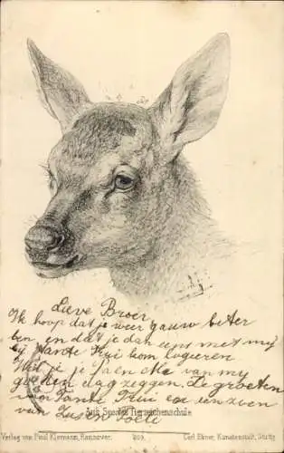 Litho Reh, Gemaltes Tierporträt, Spechts-Tierzeichenschule