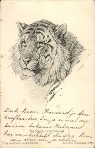 Litho Tiger, Gemaltes Tierporträt, Spechts-Tierzeichenschule