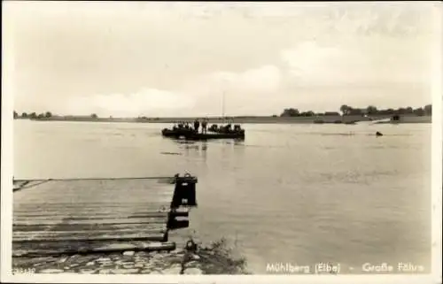 Ak Mühlberg an der Elbe, Große Fähre