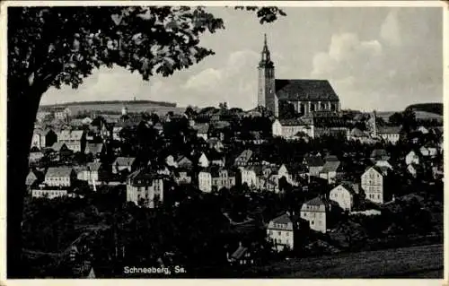 Ak Schneeberg im Erzgebirge, Gesamtansicht mit Kirche