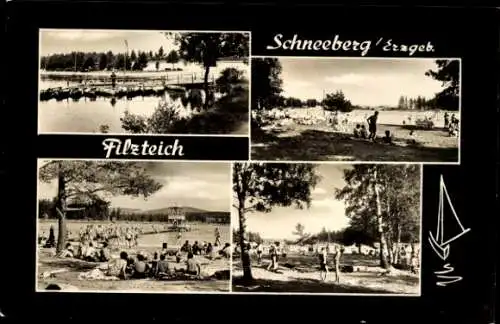 Ak Neustädtel Schneeberg im Erzgebirge, Bergsee Filzteich