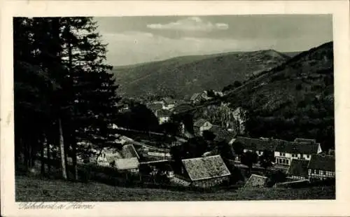 Ak Rübeland im Harz, Gesamtansicht