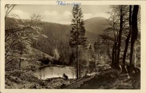 Ak Oberhof im Thüringer Wald, Pfanntalsteich