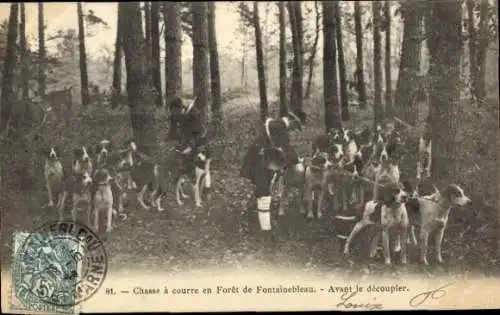 Ak Fontainebleau Seine et Marne, Chasse a courre en Foret, Avant le decoupler