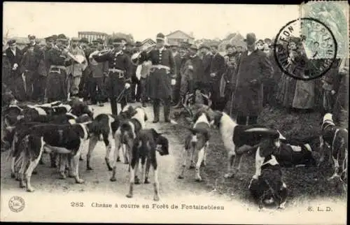 Ak Fontainebleau Seine et Marne, Chasse a courre en Foret, Hundemeute
