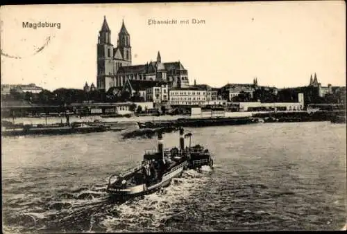 Ak Magdeburg in Sachsen Anhalt, Elbe, Dom, Dampfer